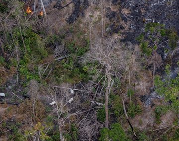20240801fogoamazonia-greenpeacemarizilda-gp0su1tn8